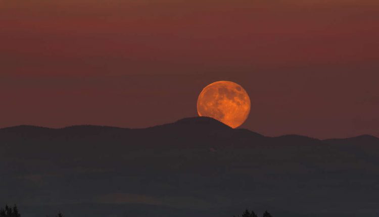 2020-first-super moon-visible-on-9-february-night