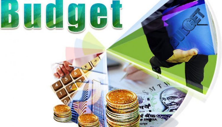 odisha-budget-in-ipad1