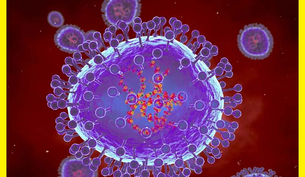 HMPV Virus